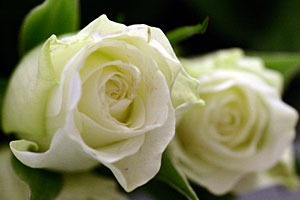  Bleaching - bei Ihrem Zahnarzt in Berlin-Lichterfelde