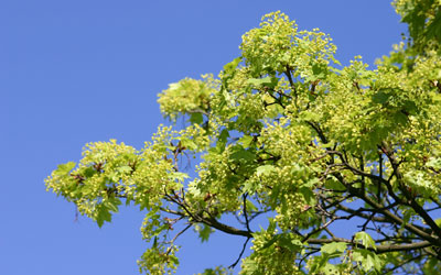 zahnärztliche Behandlungen unter Hypnose - entspannt und stressfrei